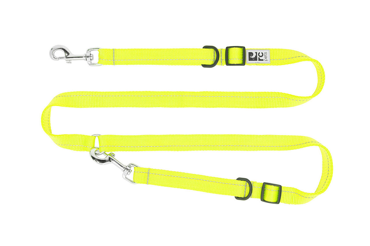 Primary Active Leash Primary Active Leash