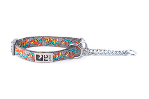 Training Collar