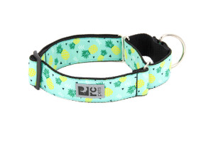 All Webbing Training Collar