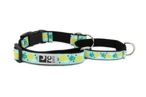 Easy Clip Web Training Collar