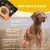 Rogue Origins Canine & Feline - 1.5 lb - Healthy Weight