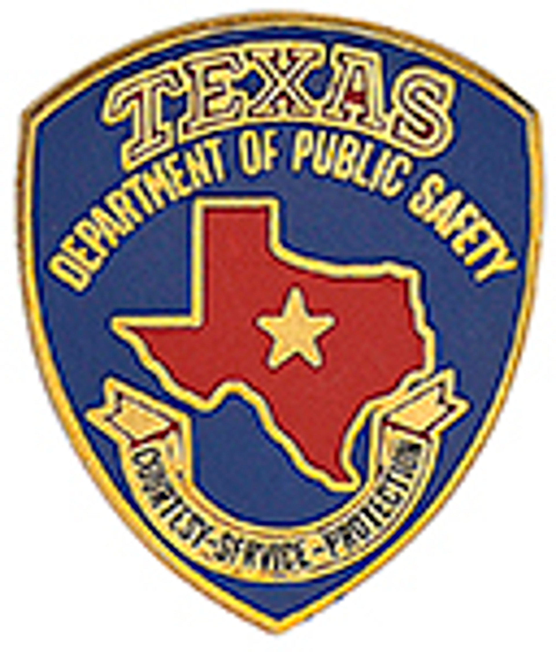 TEXAS DEPARTMENT OF PUBLIC SAFETY LAPEL PIN - CopShop.com