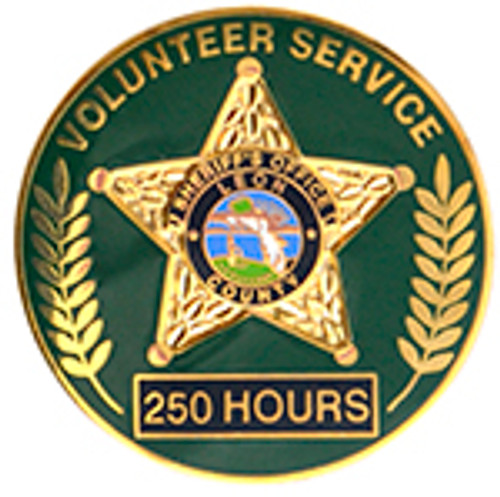 LEON COUNTY HONORABLE SERVICE - 250 HOURS LAPEL PIN