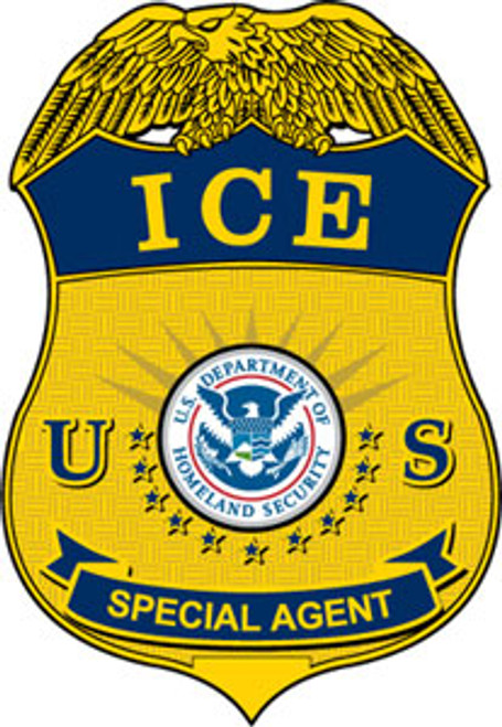 DHS ICE Special Agent Badge Plaque (All sizes)