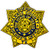 HARRIS COUNTY SHERIFF'S OFFICE TEXAS GOLD STAR PATCH
