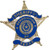 Sheriffs' Association of Texas Pin