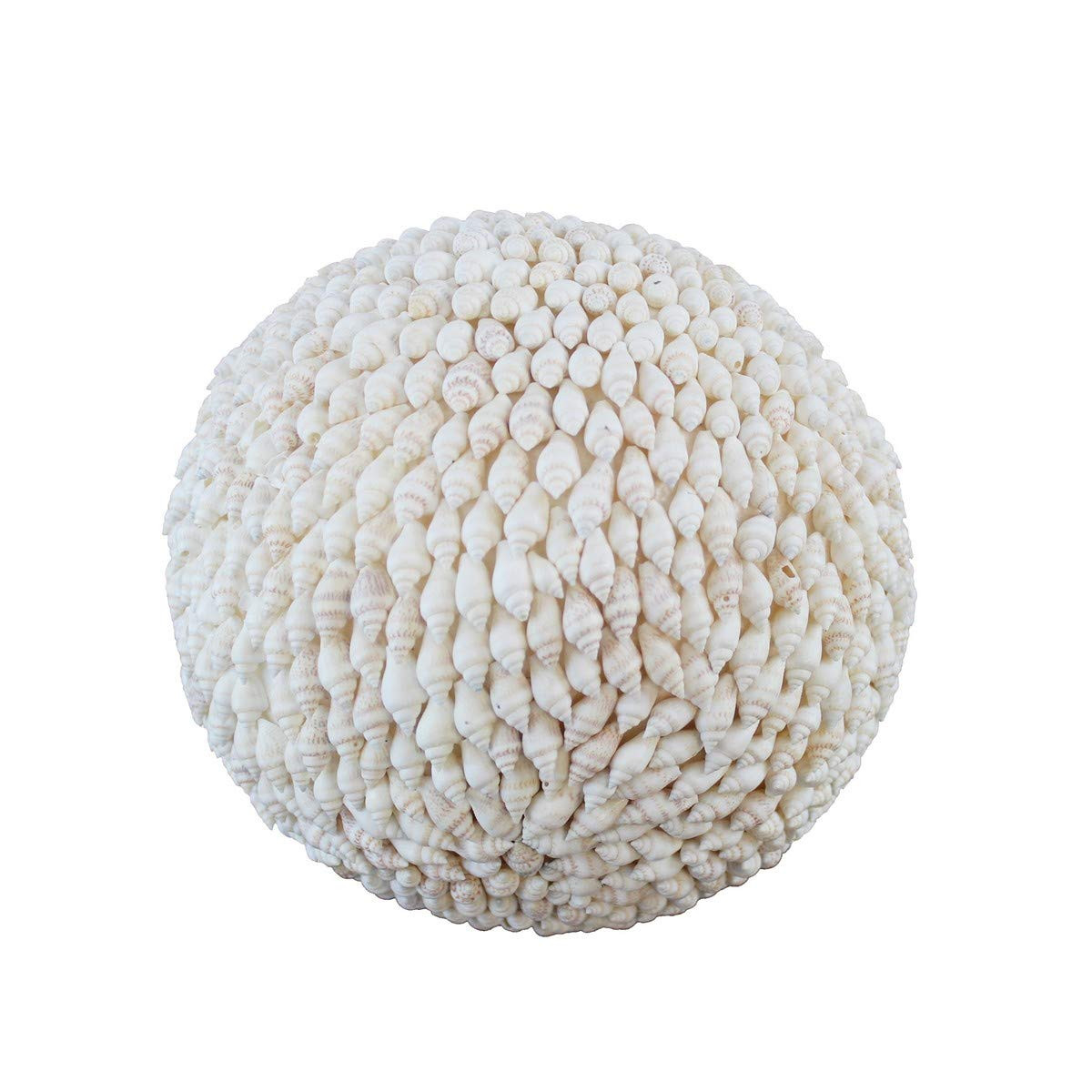 BEACHCOMBER Nassa Shell Ball