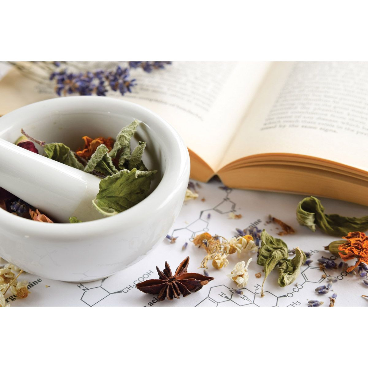 HIC Mortar & Pestle with Pour Spout (NT1051) - Thumbnail 4