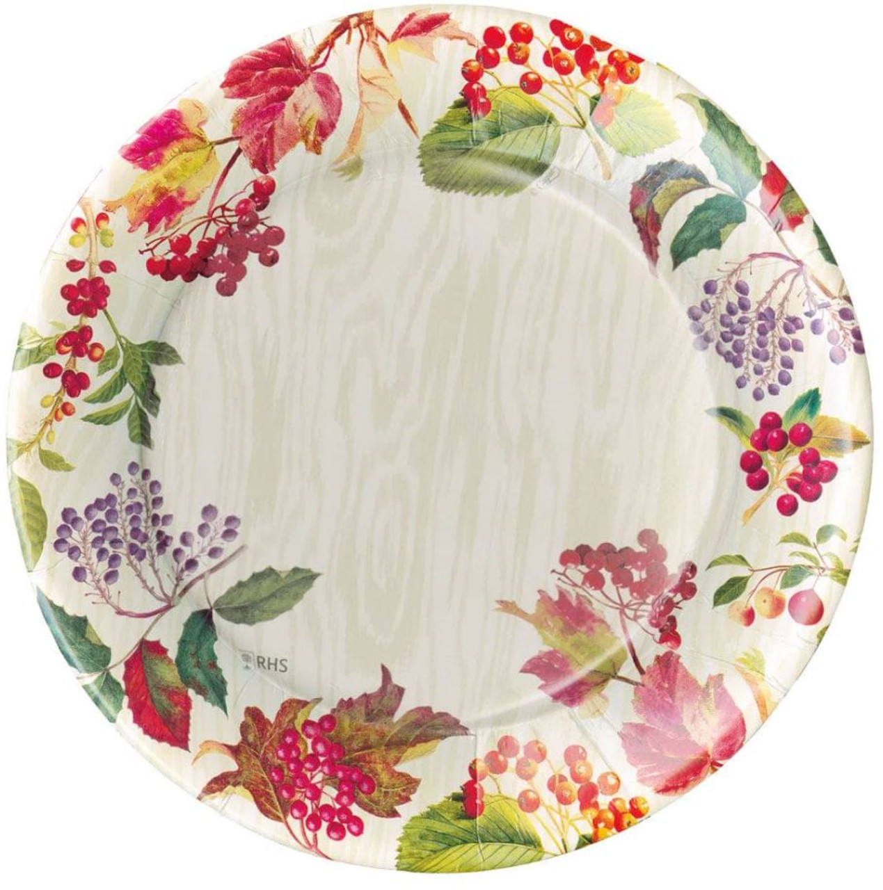 Garden Party Large Paper Dinner Plates
