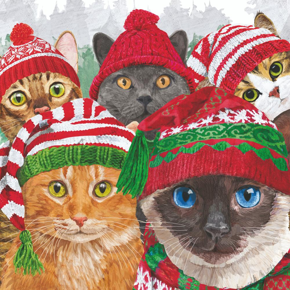 Paperproducts Design Sweater Cats Beverage Napkins