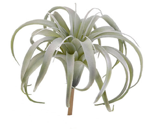 Raz Imports Succulent Stem 11", Thick Leaves