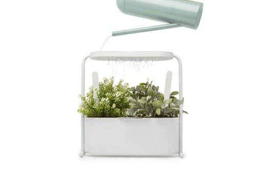 Umbra Giardino Herb and Plant Garden, White