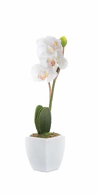 C&F Home Mini White Orchid in Pot (PCK74209-WHITE)