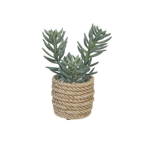 Raz Imports 7.25" Rope Potted Succulent, Jade