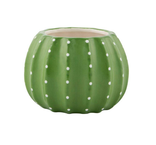 Sass & Belle Planter, Cactus