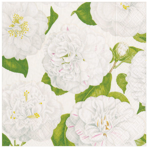 Caspari Paper Luncheon Napkins, Camellia Garden Ivory - 2 Packs (14113L)