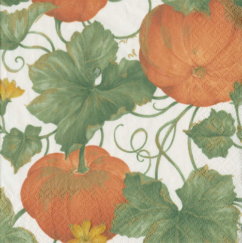 Caspari Paper Luncheon Napkins, Heirloom Pumpkins Ivory/Orange - 2 Packs (15670L)
