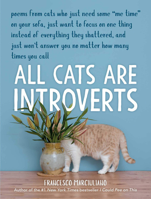 Simon & Schuster Book, All Cats Are Introverts