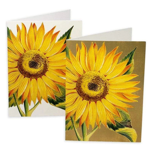 Caspari Boxed Note Cards, Sunflower - Box of 8 (79614.46)