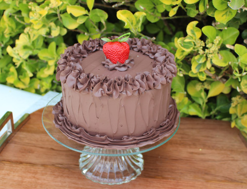 Just Dough It Replica Chocolate Frosted Cake, 7" (W0305)