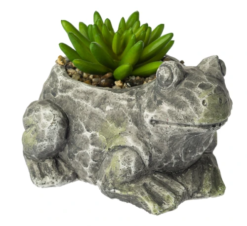 Ganz Frog Figurine with Succulent (ER69607)