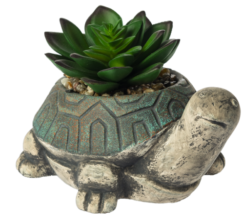 Ganz Turtle Figurine with Succulent