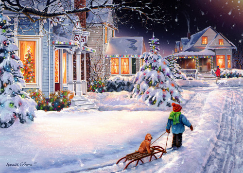 Vermont Christmas Company Boxed Christmas Cards, Christmas Night (BMG002)