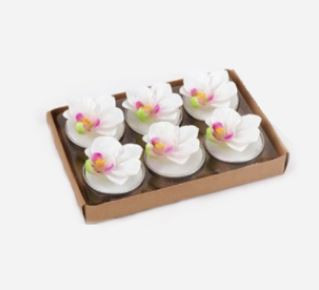 One Hundred 80 Degrees Flower Tea Lights, Box of 6, White Hibiscus (HG0070A)