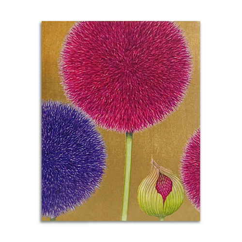 Caspari Gift Enclosure Cards, Pom Pom on Gold - 2 Packs (ENC19S(H))