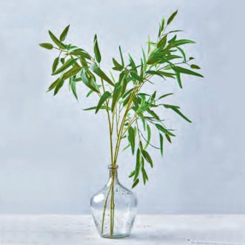 TAG Olive Spray (G15369)