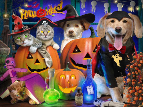 Vermont Christmas Company Jigsaw Puzzle, Halloween Pets - 550 Piece (VC1235)