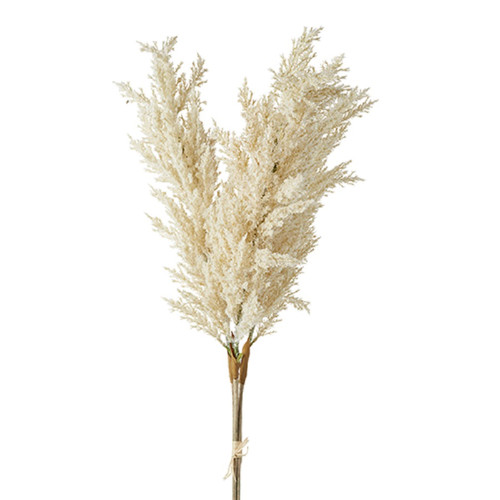 RAZ Imports Pampas Grass Bundle,  34" (F4212954)