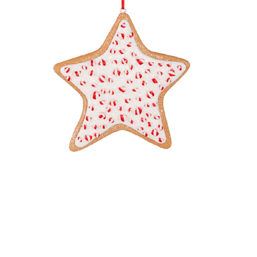 RAZ Imports 4.5" Gingerbread Star Ornament (4116228B)