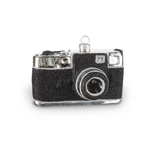 Raz Imports Camera Ornament, 4.25" (4219143)