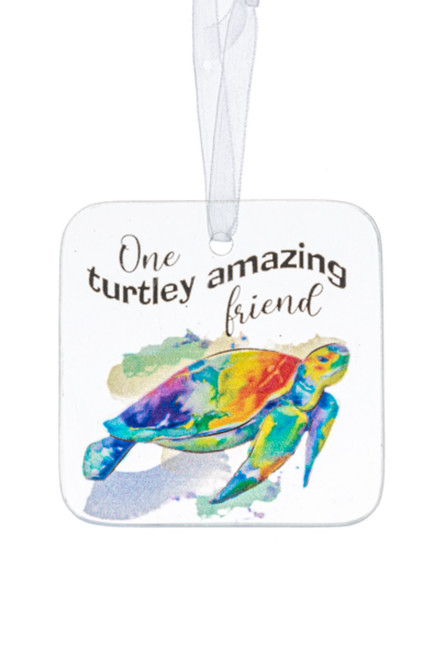 Ganz Ornament, One Turtley Amazing Friend (ER77688)