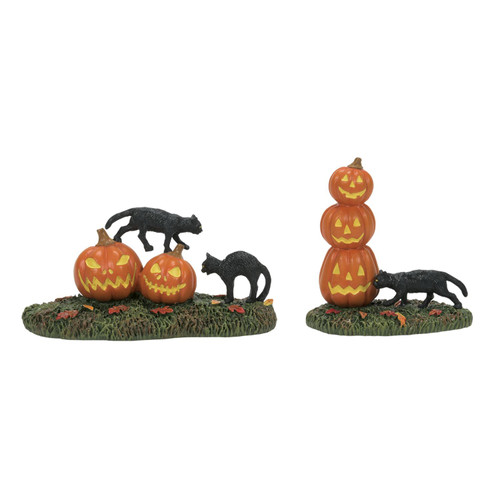 Department 56 Halloween Village, Scary Cats And Pumpkins - Set Of 2 (6012285)