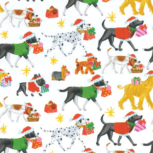 Caspari 8' Continuous Gift Wrap Roll, Christmas Delivery White (9669RC)