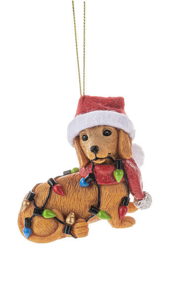 Ganz Ornament, Naughty Pets - Dog in Lights (EX26174D)