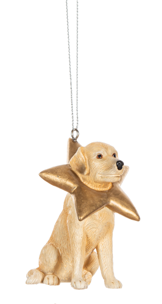 Midwest Ornament, Christmas Dog - Star (MX187154C)