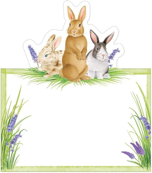 Caspari Die-Cut Place Cards, Bunnies and Daffodils - 2 Packs (92905P)