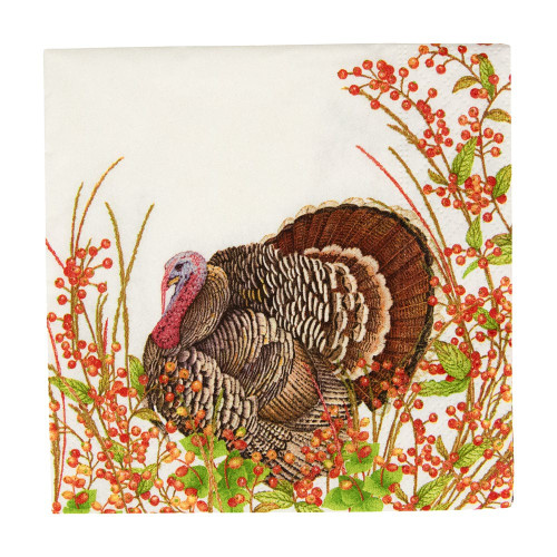 Caspari Paper Beverage Napkins, Turkey and Berries - 2 Packs (18240C)