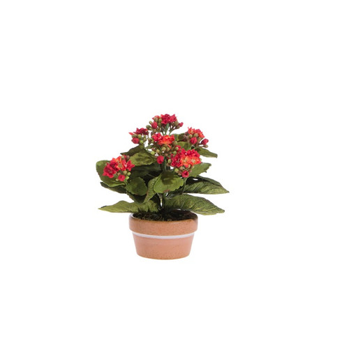 Raz Imports Potted Kalanchoe, Red - 7.5" (3702090A)