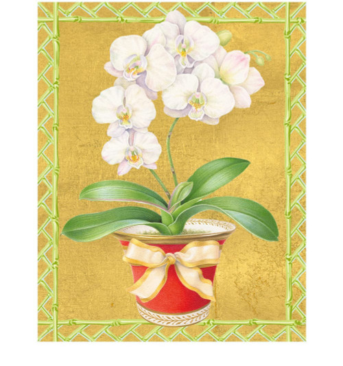 Caspari Petite Boxed Christmas Cards, White Orchid in Red Pot - Box of 15 cards & envelopes (105005) Caspari Petite Boxed Christmas Cards, White Orchid in Red Pot - Box of 15 cards & envelopes (105005)
