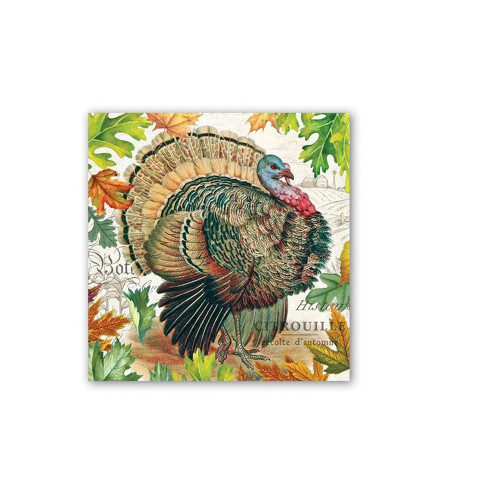 Michel Design Works Lunch Napkins, Fall Harvest - 2 pack (817332B) Michel Design Works Lunch Napkins, Fall Harvest - 2 pack (817332B)