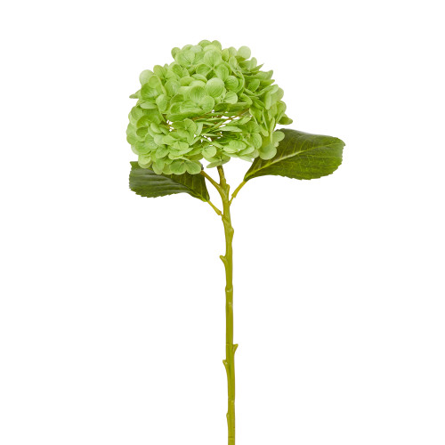 Raz Imports Real Touch Hydrangea Stem, Green - 19" (F4541999)