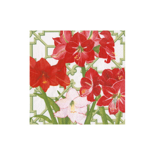 Caspari Paper Beverage Napkins, Amaryllis Conservatory - 2 Packs (18660C)