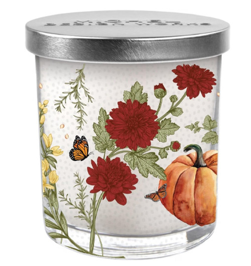 Michel Design Works Pumpkin Delight Scented Jar Candle (831427)