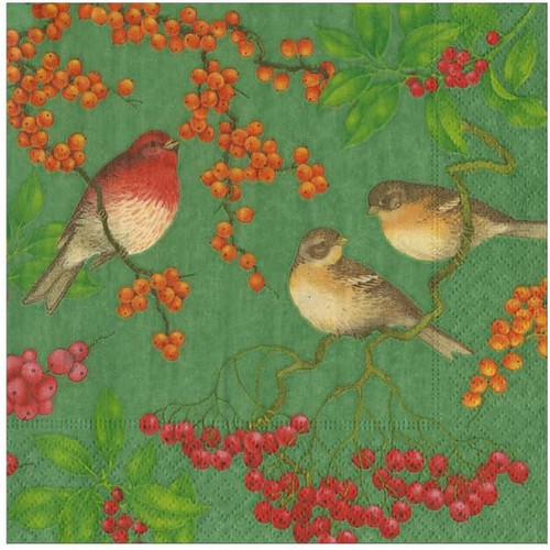 Caspari Paper Beverage Napkins, Birds And Berries Green - 2 Packs (19211C)