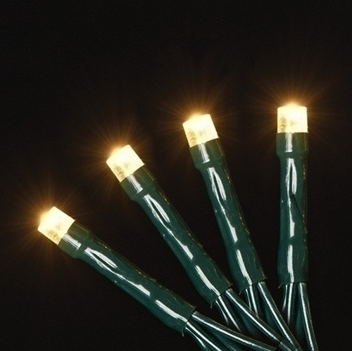 Roman USB 50L String Lights, Warm White LEDs With Green Cord