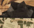 The Gift Wrap Company Solid Gift Tissue, Black